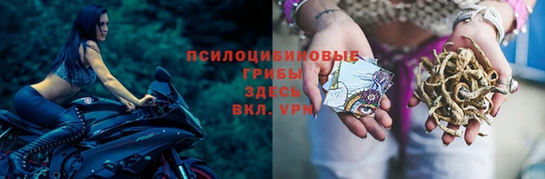 не бодяженный Корсаков