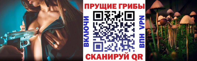 Галлюциногенные грибы Psilocybe  Купить  Махачкала 